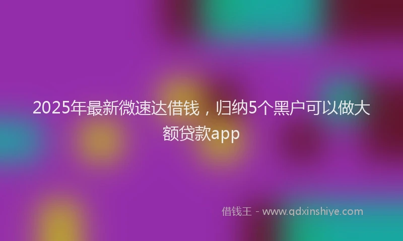 2025年最新微速达借钱，归纳5个黑户可以做大额贷款app