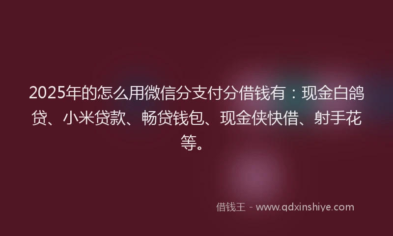 2025年的怎么用微信分支付分借钱有：现金白鸽贷、小米贷款、畅贷钱包、现金侠快借、射手花等。