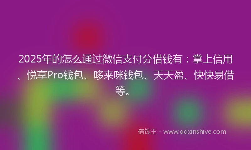2025年的怎么通过微信支付分借钱有：掌上信用、悦享Pro钱包、哆来咪钱包、天天盈、快快易借等。
