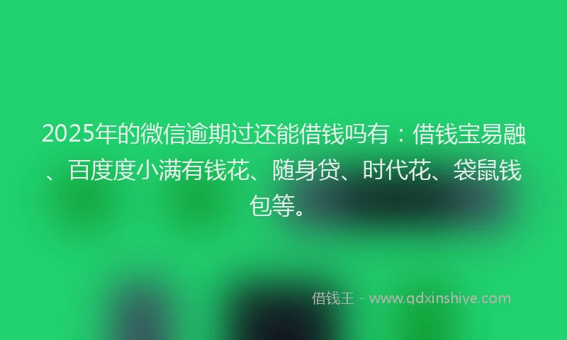 2025年的微信逾期过还能借钱吗有：借钱宝易融、百度度小满有钱花、随身贷、时代花、袋鼠钱包等。