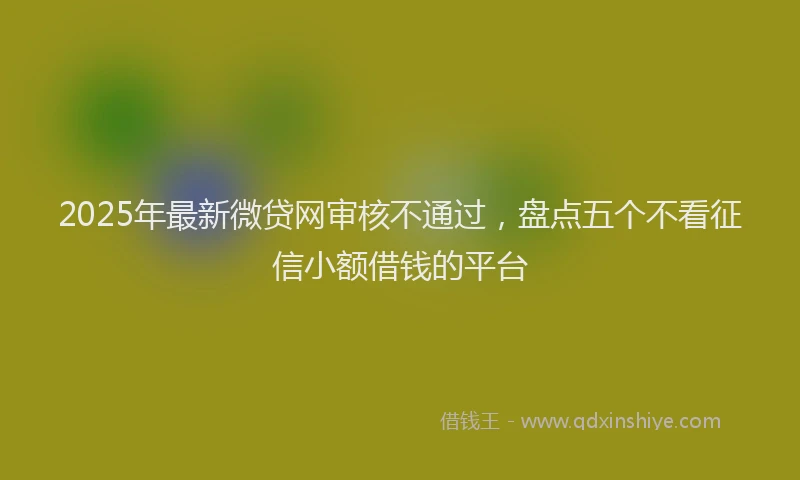 2025年最新微贷网审核不通过，盘点五个不看征信小额借钱的平台