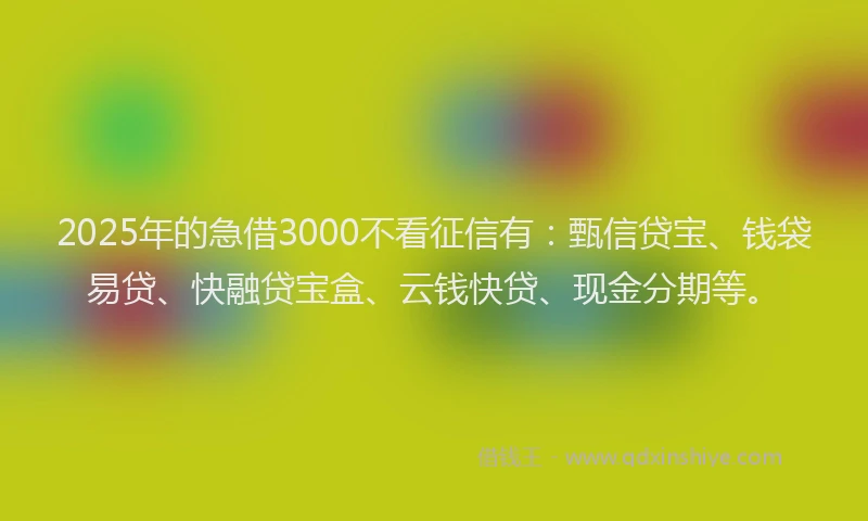 2025年的急借3000不看征信有：甄信贷宝、钱袋易贷、快融贷宝盒、云钱快贷、现金分期等。