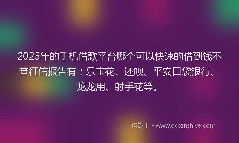 2025年的手机借款平台哪个可以快速的借到钱不查征信报告有：乐宝花、还呗、平安口袋银行、龙龙用、射手花等。