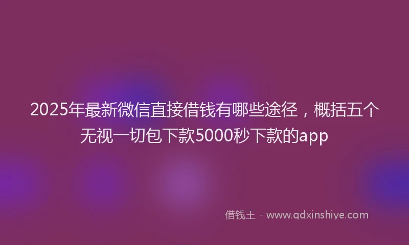 2025年最新微信直接借钱有哪些途径，概括五个无视一切包下款5000秒下款的app