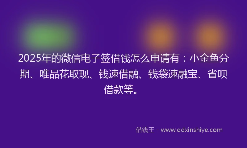 2025年的微信电子签借钱怎么申请有：小金鱼分期、唯品花取现、钱速借融、钱袋速融宝、省呗借款等。