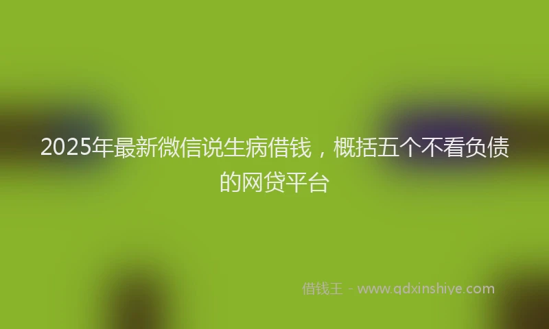 2025年最新微信说生病借钱，概括五个不看负债的网贷平台