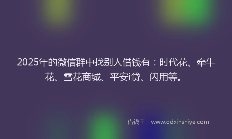 2025年的微信群中找别人借钱有：时代花、牵牛花、雪花商城、平安i贷、闪用等。