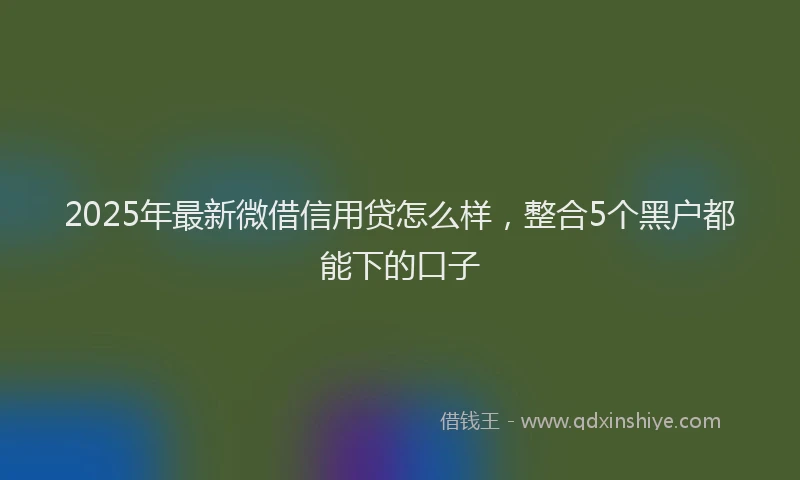 2025年最新微借信用贷怎么样，整合5个黑户都能下的口子