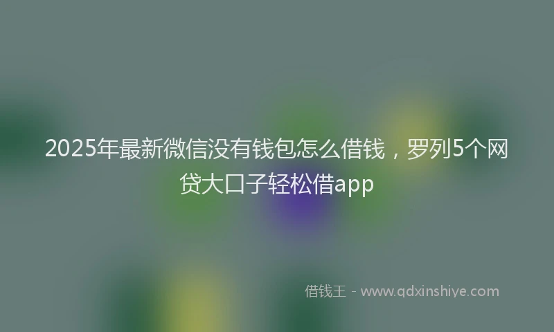 2025年最新微信没有钱包怎么借钱，罗列5个网贷大口子轻松借app