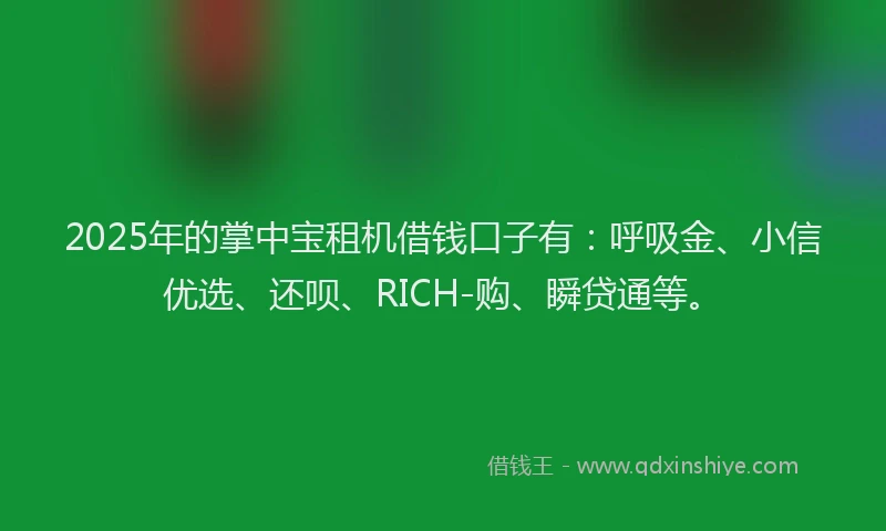 2025年的掌中宝租机借钱口子有：呼吸金、小信优选、还呗、RICH-购、瞬贷通等。