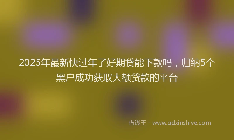 2025年最新快过年了好期贷能下款吗，归纳5个黑户成功获取大额贷款的平台