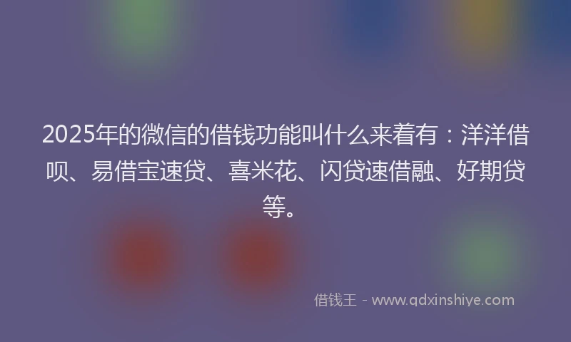 2025年的微信的借钱功能叫什么来着有：洋洋借呗、易借宝速贷、喜米花、闪贷速借融、好期贷等。