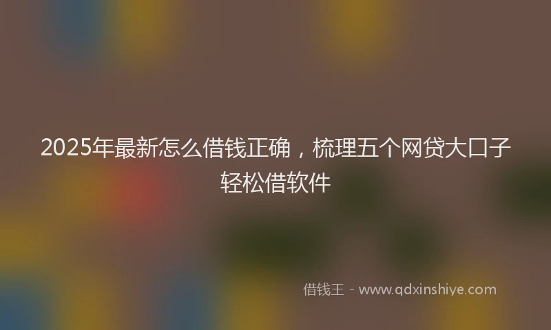 2025年最新怎么借钱正确，梳理五个网贷大口子轻松借软件