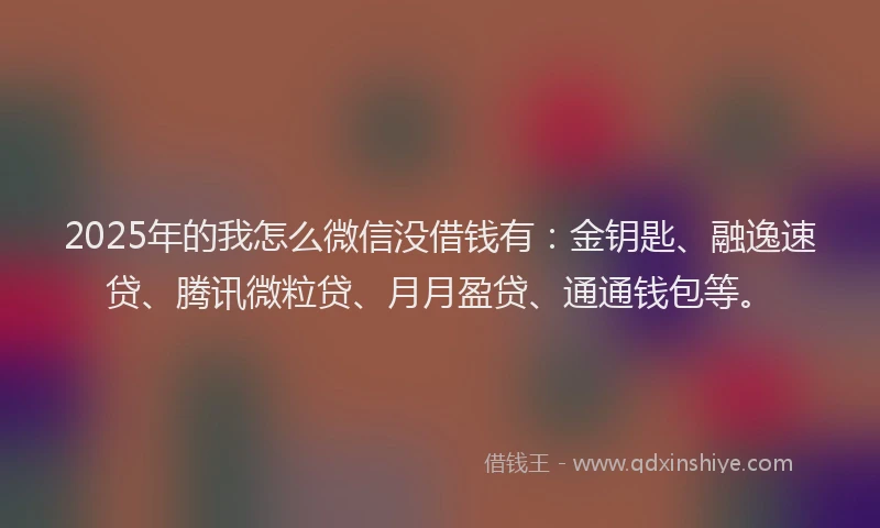 2025年的我怎么微信没借钱有：金钥匙、融逸速贷、腾讯微粒贷、月月盈贷、通通钱包等。
