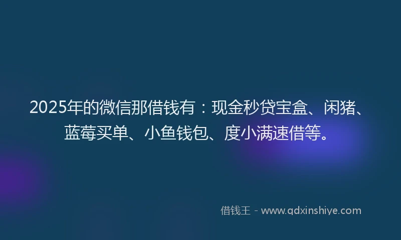 2025年的微信那借钱有：现金秒贷宝盒、闲猪、蓝莓买单、小鱼钱包、度小满速借等。