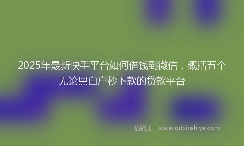 2025年最新快手平台如何借钱到微信，概括五个无论黑白户秒下款的贷款平台