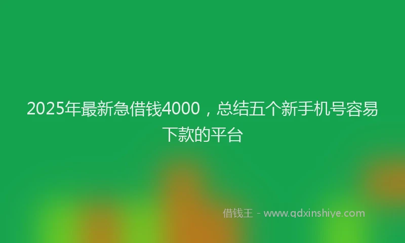 2025年最新急借钱4000，总结五个新手机号容易下款的平台