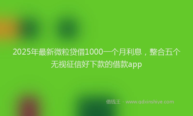 2025年最新微粒贷借1000一个月利息，整合五个无视征信好下款的借款app