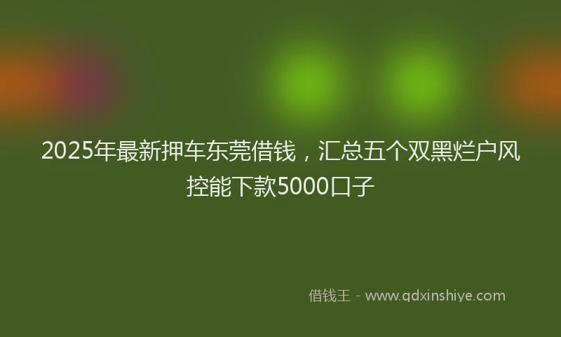 2025年最新押车东莞借钱，汇总五个双黑烂户风控能下款5000口子