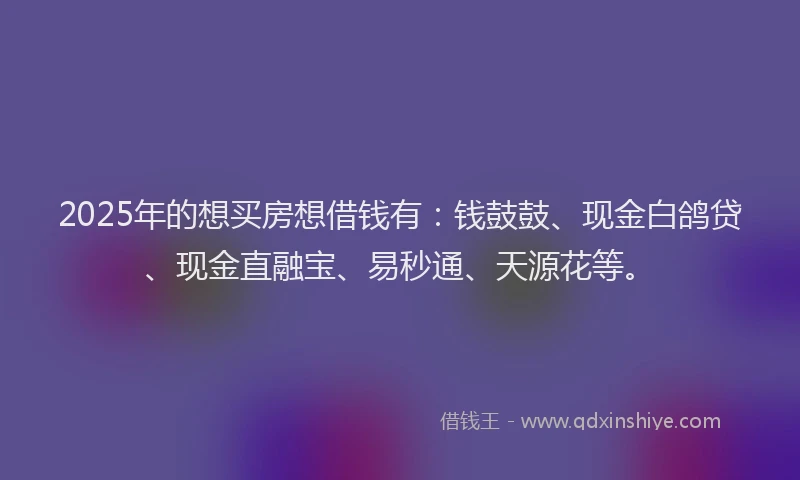 2025年的想买房想借钱有：钱鼓鼓、现金白鸽贷、现金直融宝、易秒通、天源花等。