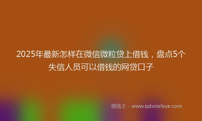 2025年最新怎样在微信微粒贷上借钱，盘点5个失信人员可以借钱的网贷口子