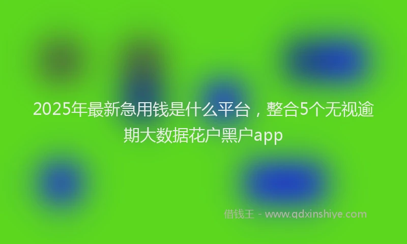 2025年最新急用钱是什么平台，整合5个无视逾期大数据花户黑户app
