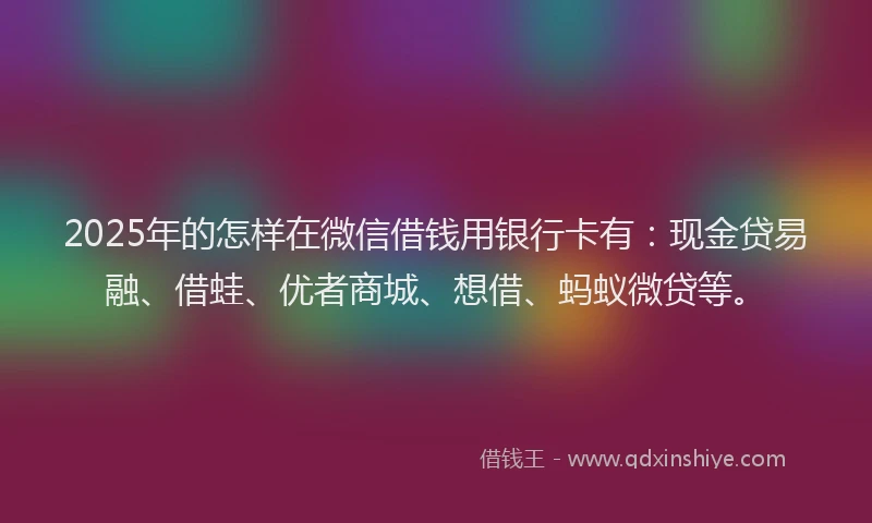 2025年的怎样在微信借钱用银行卡有：现金贷易融、借蛙、优者商城、想借、蚂蚁微贷等。