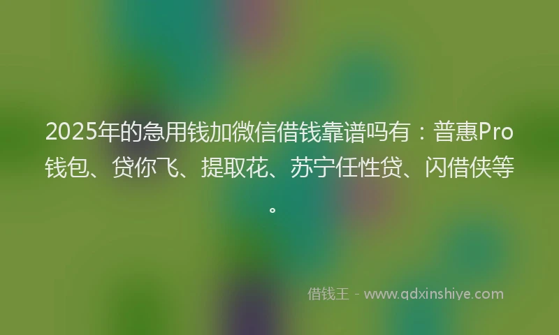 2025年的急用钱加微信借钱靠谱吗有：普惠Pro钱包、贷你飞、提取花、苏宁任性贷、闪借侠等。