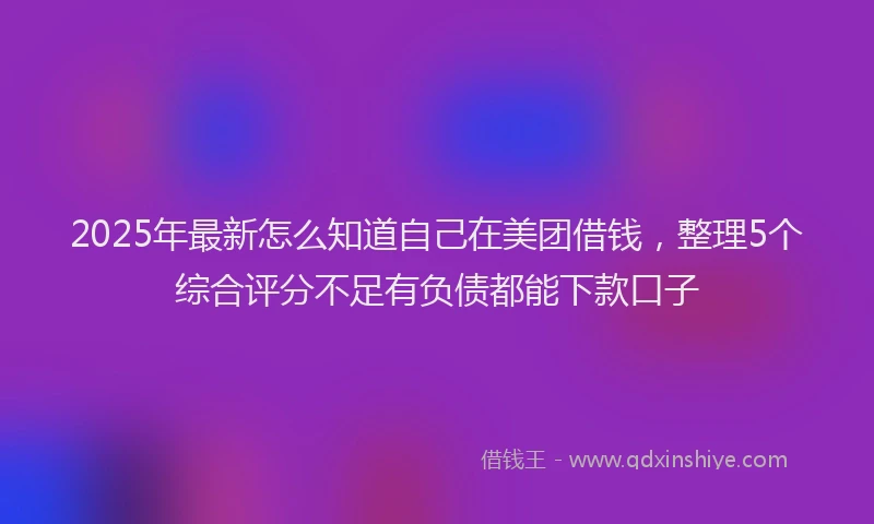 2025年最新怎么知道自己在美团借钱，整理5个综合评分不足有负债都能下款口子