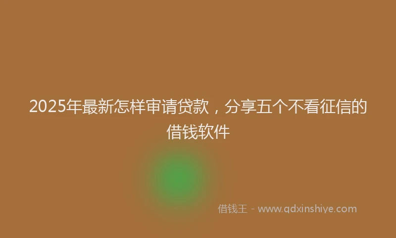 2025年最新怎样审请贷款，分享五个不看征信的借钱软件