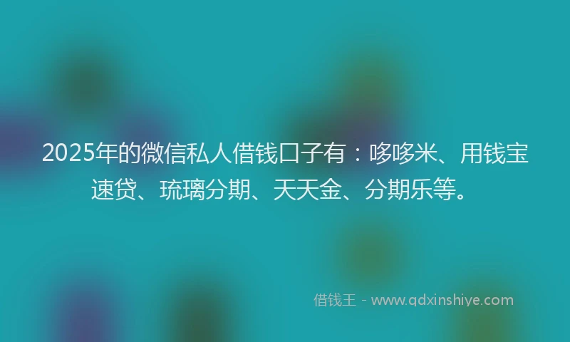 2025年的微信私人借钱口子有：哆哆米、用钱宝速贷、琉璃分期、天天金、分期乐等。