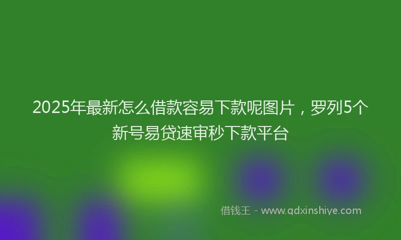 2025年最新怎么借款容易下款呢图片，罗列5个新号易贷速审秒下款平台