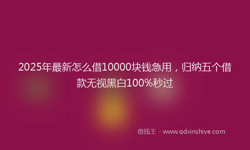 2025年最新怎么借10000块钱急用，归纳五个借款无视黑白100%秒过