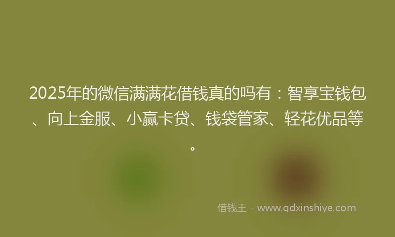 2025年的微信满满花借钱真的吗有：智享宝钱包、向上金服、小赢卡贷、钱袋管家、轻花优品等。