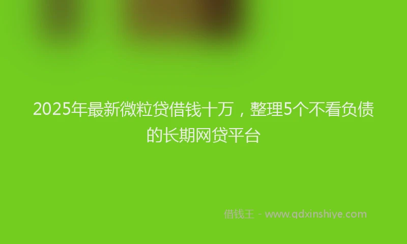 2025年最新微粒贷借钱十万，整理5个不看负债的长期网贷平台