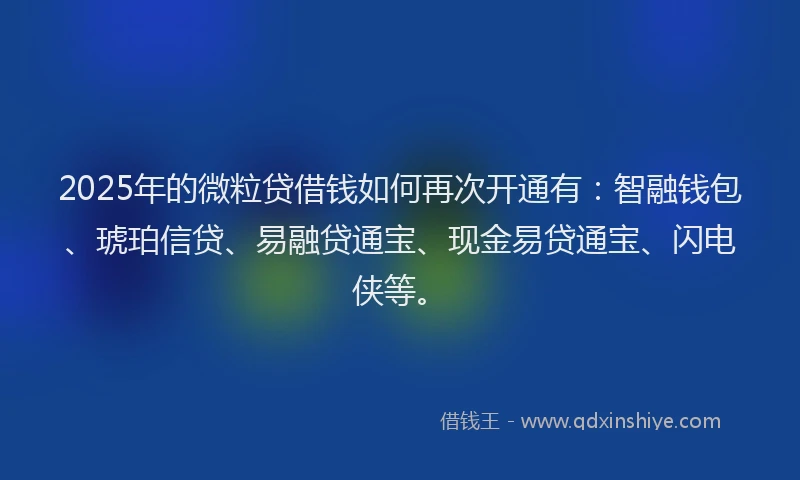 2025年的微粒贷借钱如何再次开通有：智融钱包、琥珀信贷、易融贷通宝、现金易贷通宝、闪电侠等。