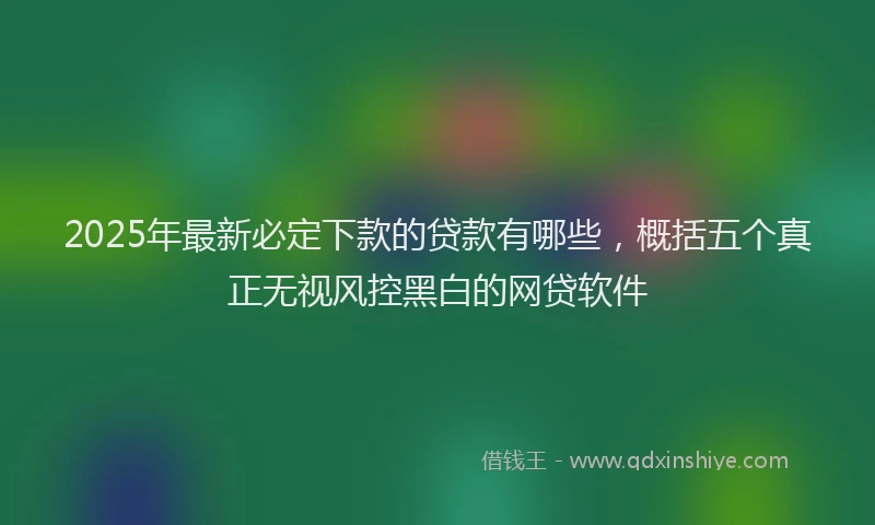 2025年最新必定下款的贷款有哪些，概括五个真正无视风控黑白的网贷软件