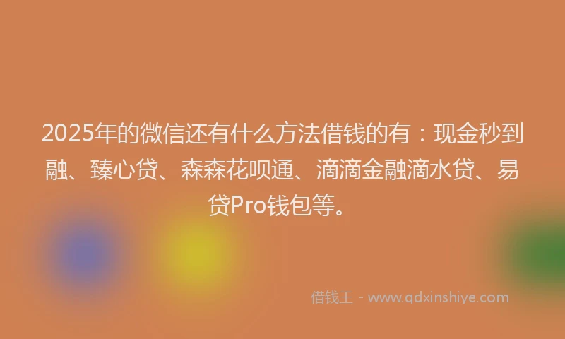 2025年的微信还有什么方法借钱的有：现金秒到融、臻心贷、森森花呗通、滴滴金融滴水贷、易贷Pro钱包等。