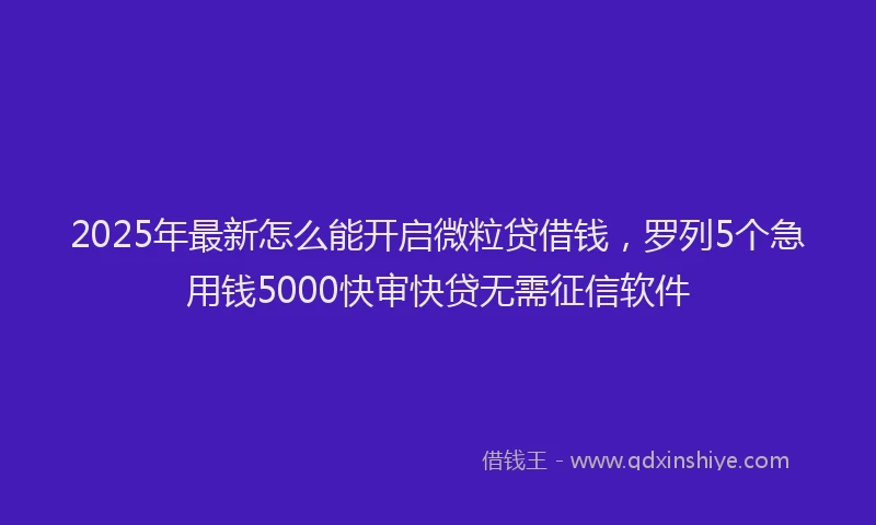 2025年最新怎么能开启微粒贷借钱，罗列5个急用钱5000快审快贷无需征信软件