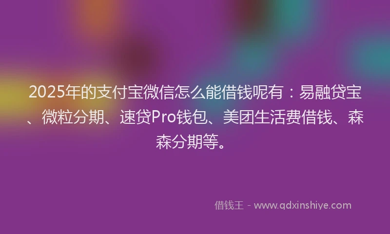 2025年的支付宝微信怎么能借钱呢有：易融贷宝、微粒分期、速贷Pro钱包、美团生活费借钱、森森分期等。