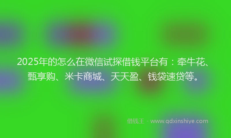 2025年的怎么在微信试探借钱平台有：牵牛花、甄享购、米卡商城、天天盈、钱袋速贷等。
