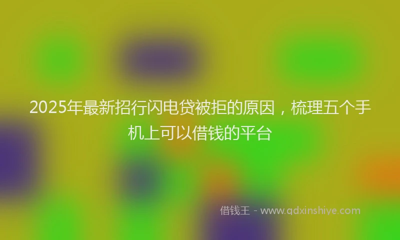 2025年最新招行闪电贷被拒的原因，梳理五个手机上可以借钱的平台