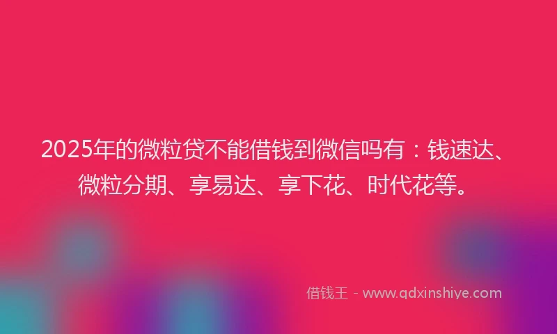 2025年的微粒贷不能借钱到微信吗有：钱速达、微粒分期、享易达、享下花、时代花等。