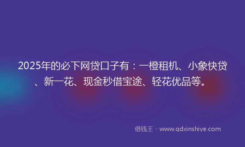 2025年的必下网贷口子有：一橙租机、小象快贷、新一花、现金秒借宝途、轻花优品等。