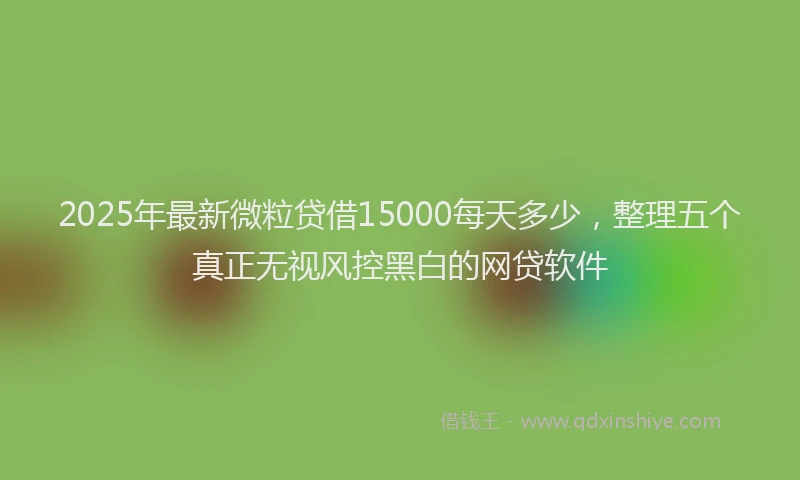 2025年最新微粒贷借15000每天多少，整理五个真正无视风控黑白的网贷软件