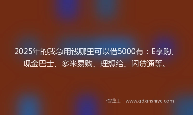 2025年的我急用钱哪里可以借5000有：E享购、现金巴士、多米易购、理想给、闪贷通等。