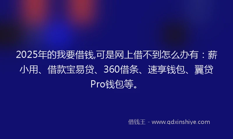 2025年的我要借钱,可是网上借不到怎么办有：薪小用、借款宝易贷、360借条、速享钱包、翼贷Pro钱包等。