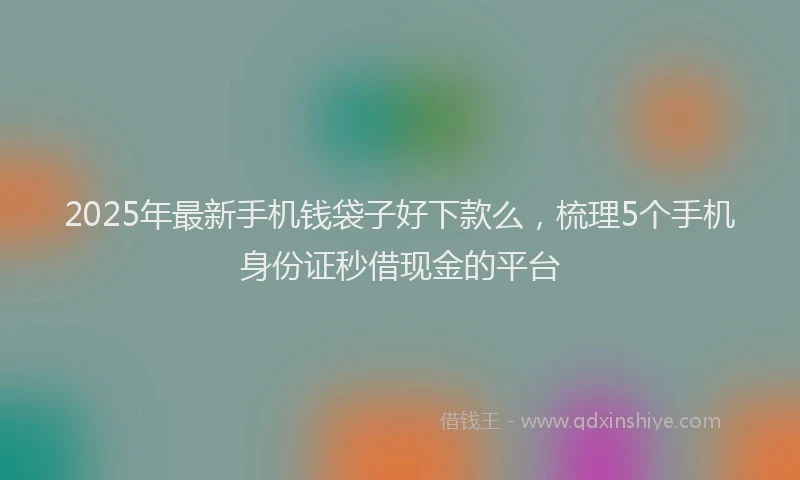 2025年最新手机钱袋子好下款么，梳理5个手机身份证秒借现金的平台