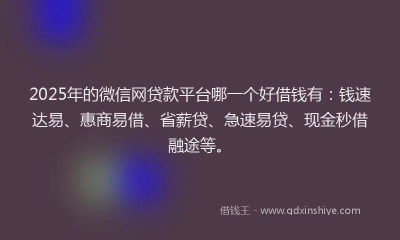 2025年的微信网贷款平台哪一个好借钱有：钱速达易、惠商易借、省薪贷、急速易贷、现金秒借融途等。