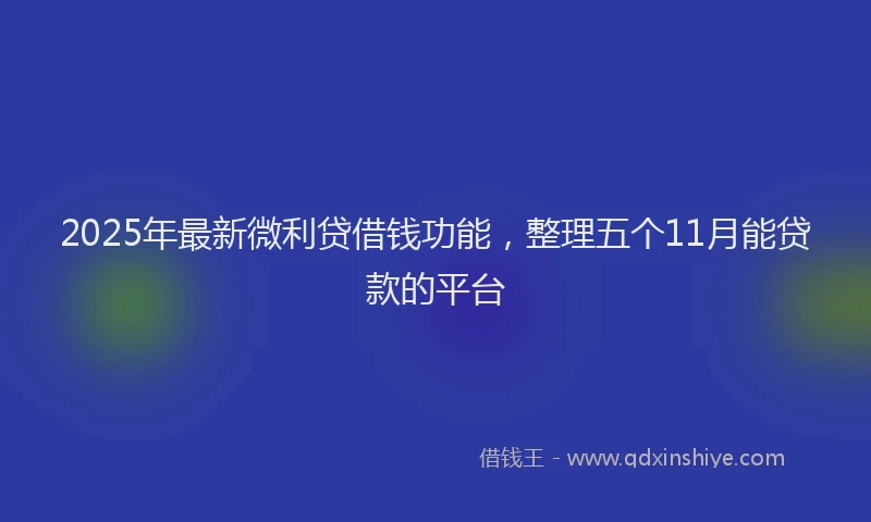 2025年最新微利贷借钱功能，整理五个11月能贷款的平台